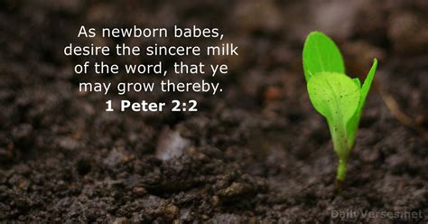 1 peter 2 mbbtag|1 Peter 2:2 .